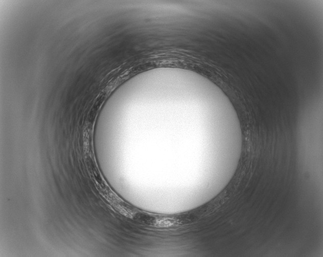 X0000086250753200703291035