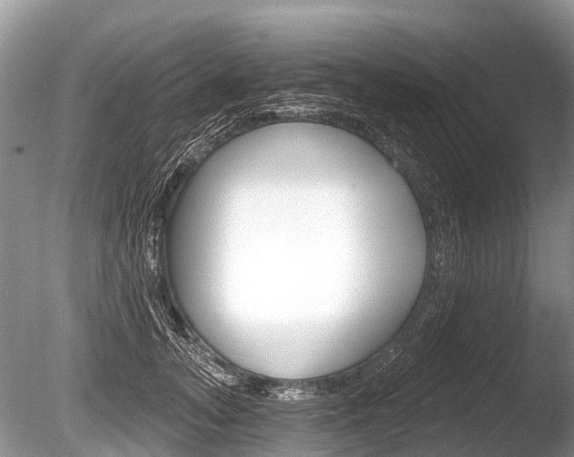 X0000086250755200703291035