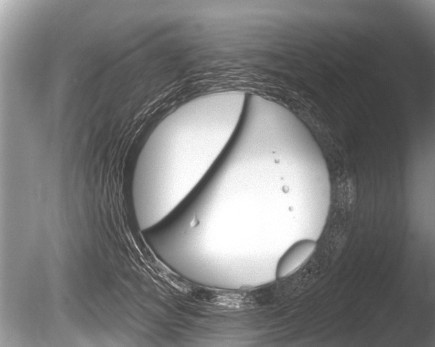X0000086250757200703291035