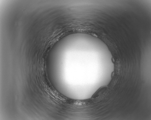 X0000086250760200703291035