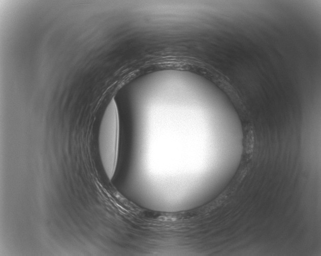 X0000086250764200703291035