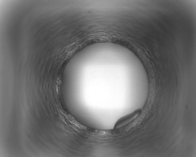 X0000086250768200703291035