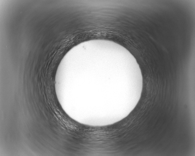 X0000086250769200703291034