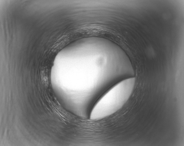 X0000086250771200703291034