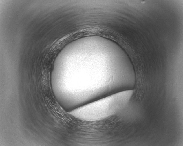 X0000086250773200703291034