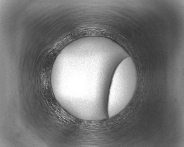 X0000086250774200703291034