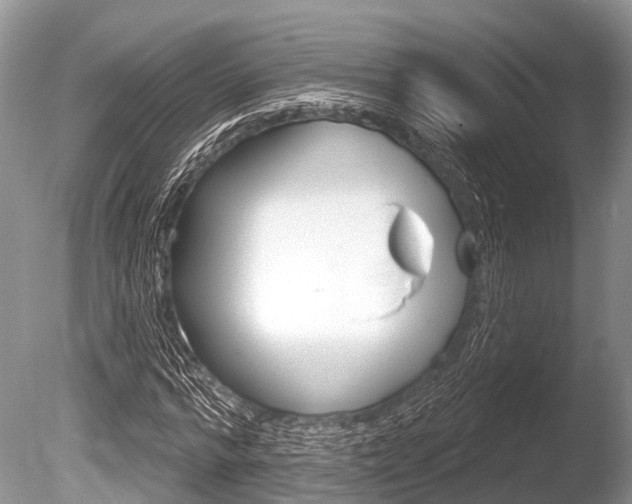 X0000086250776200703291034