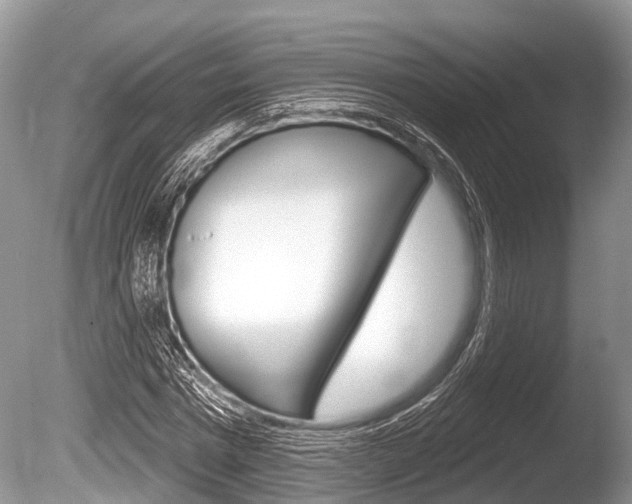 X0000086250777200703291034