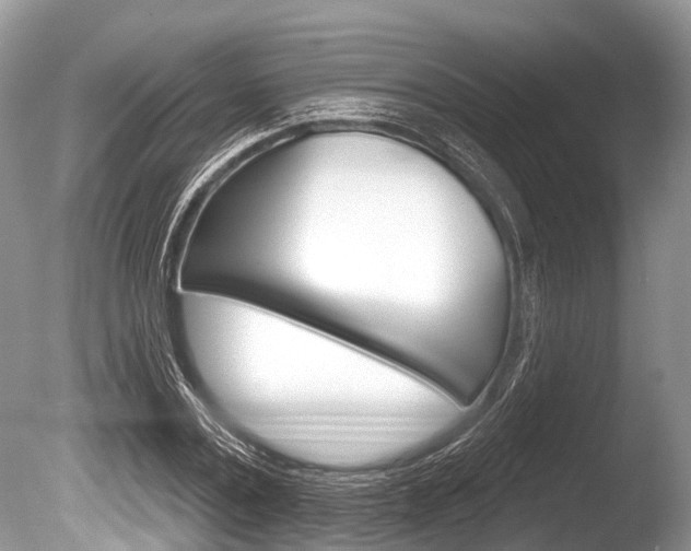 X0000086250779200703291034