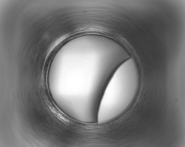 X0000086250780200703291034