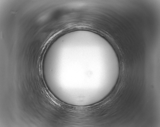 X0000086250782200703291034