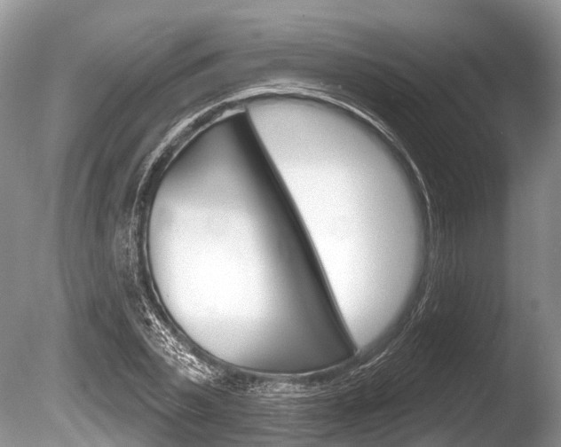 X0000086250783200703291034