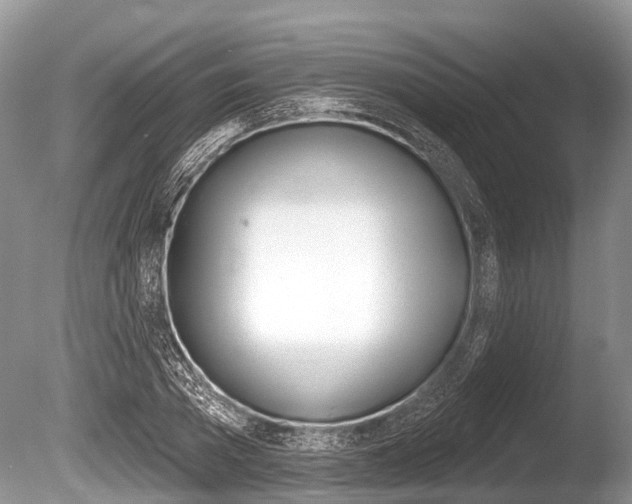 X0000086250785200703291034