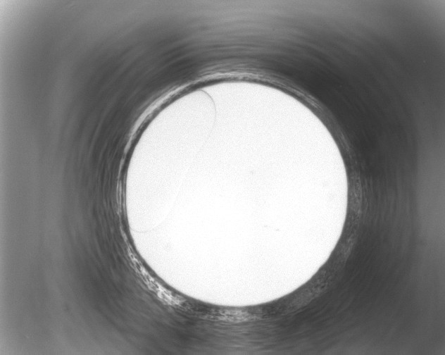 X0000086250807200703291034