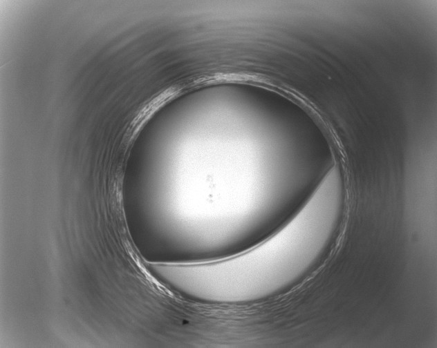 X0000086250809200703291034