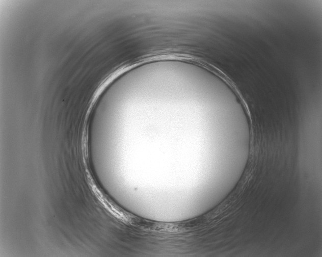 X0000086250811200703291034