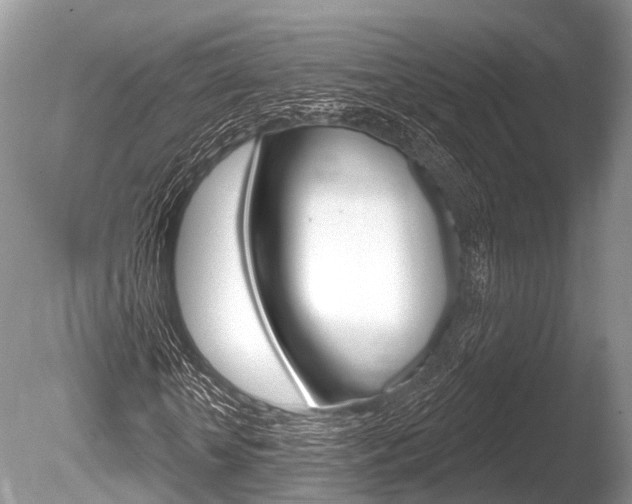 X0000086250818200703291033