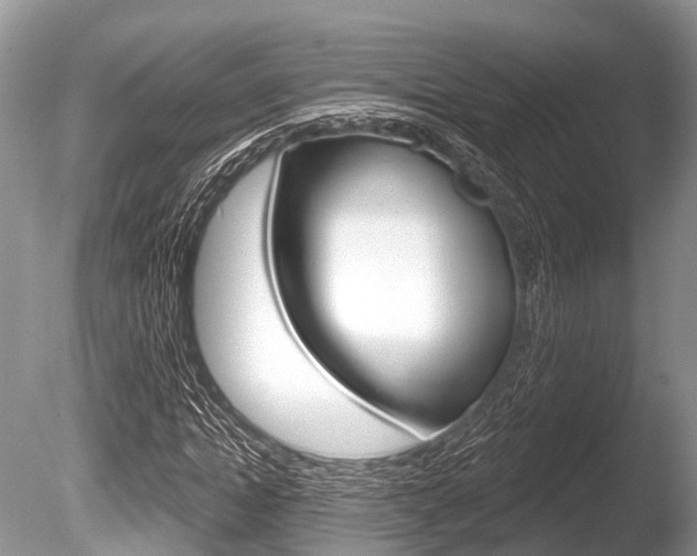 X0000086250822200703291033