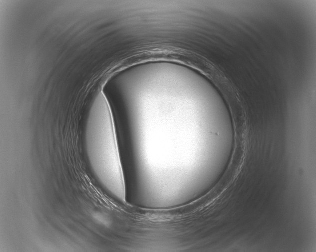 X0000086250825200703291033