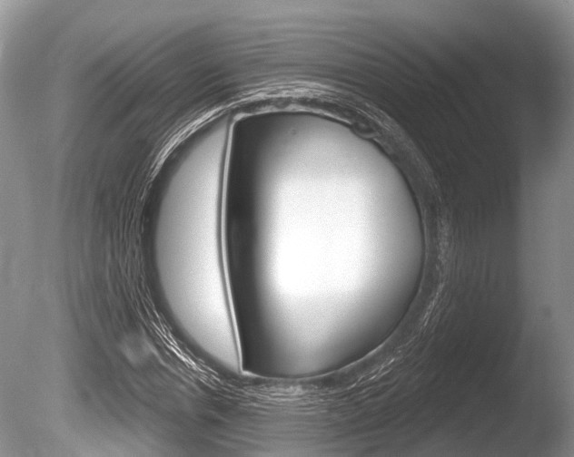 X0000086250826200703291033