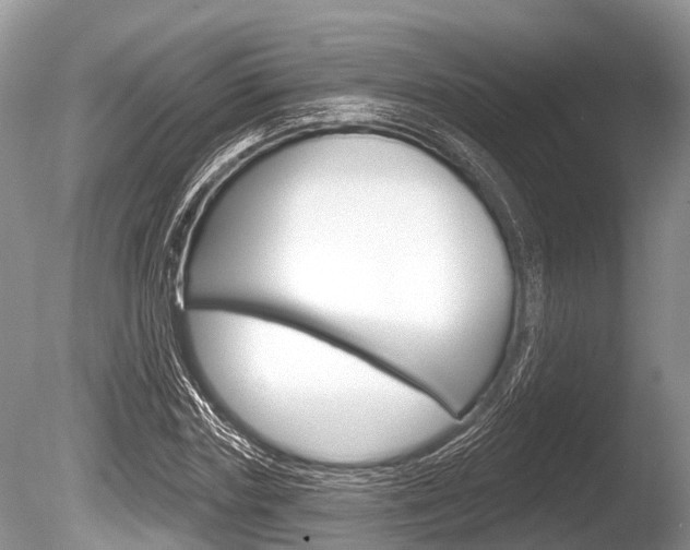 X0000086250827200703291033
