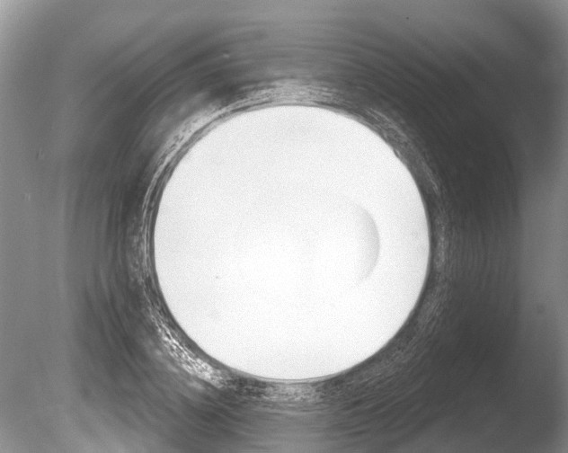 X0000086250836200703291033