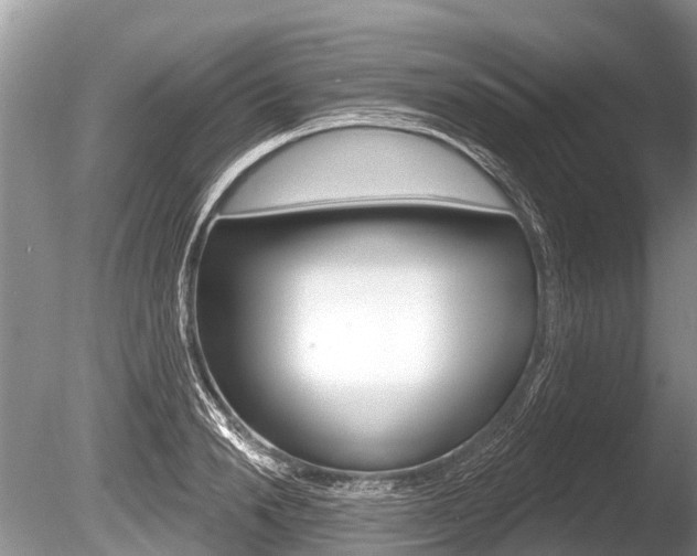 X0000086250846200703291033