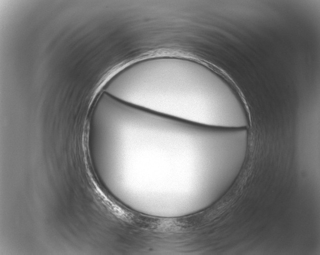 X0000086250847200703291033