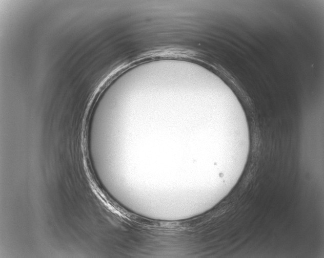 X0000086250848200703291033