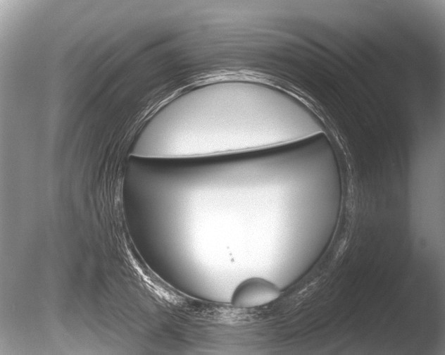 X0000086250849200703291033