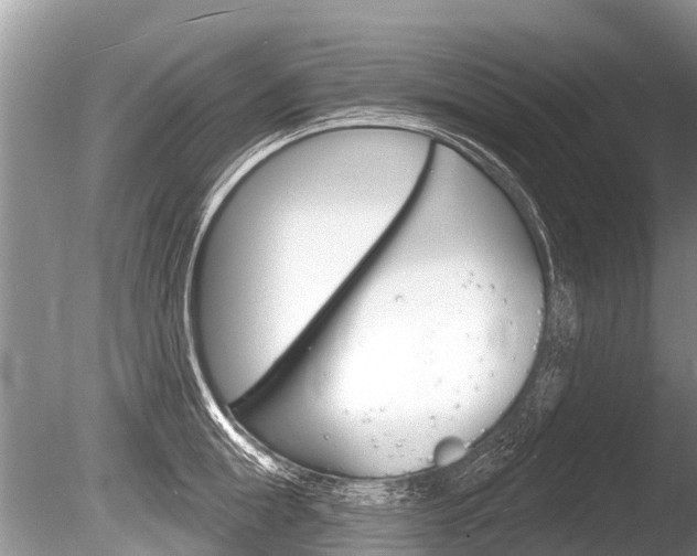 X0000086250855200703291033