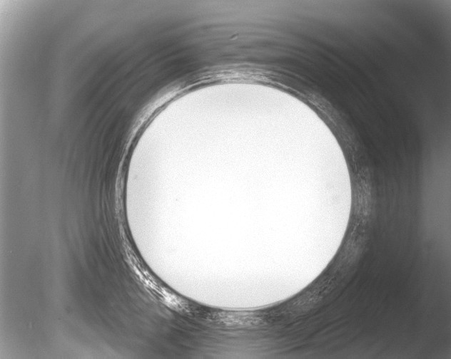 X0000086250856200703291033