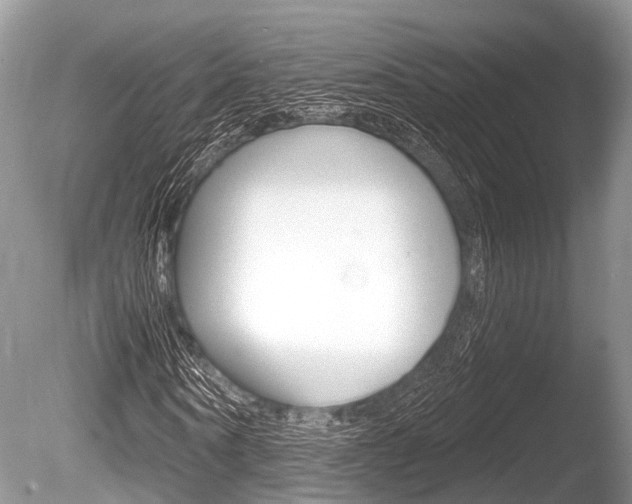 X0000086250866200703291033