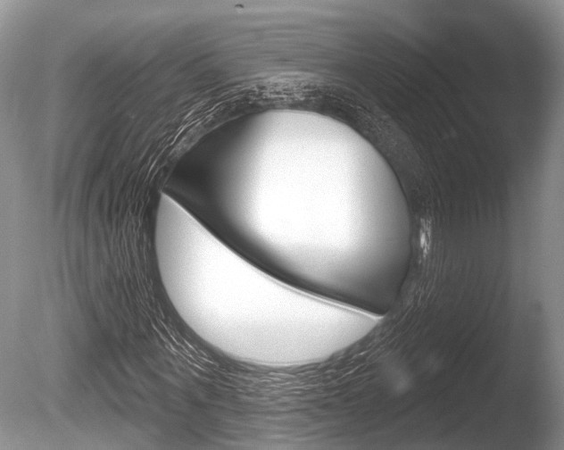 X0000086250867200703291033