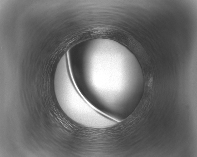 X0000086250868200703291033