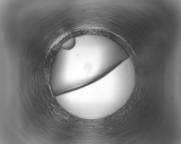 X0000086250871200703291033