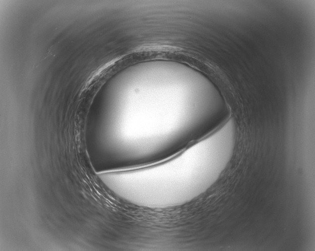 X0000086250872200703291033