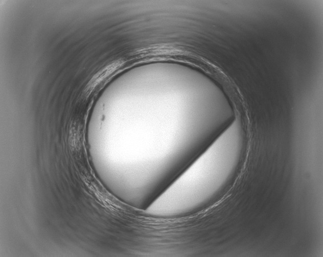 X0000086250873200703291033