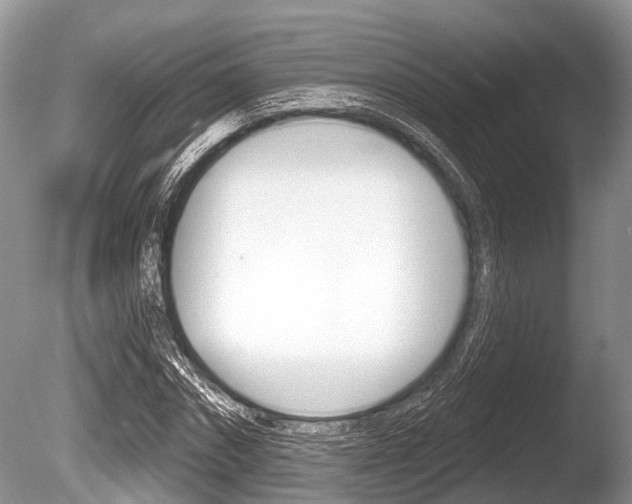 X0000086250874200703291032