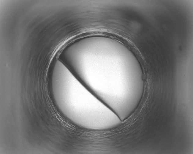 X0000086250879200703291032