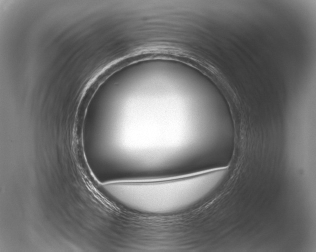 X0000086250880200703291032