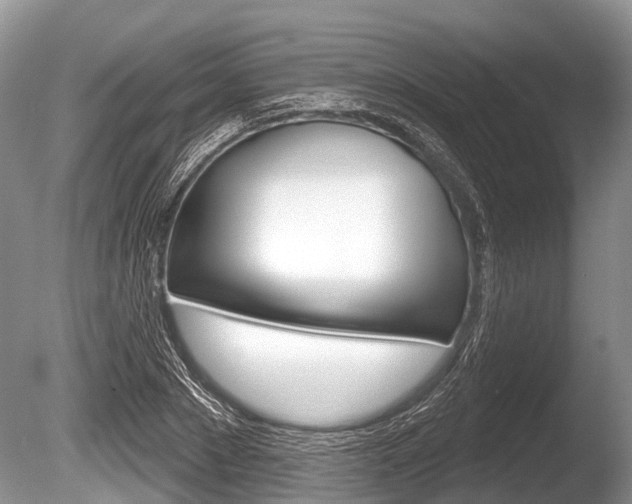 X0000086250881200703291032