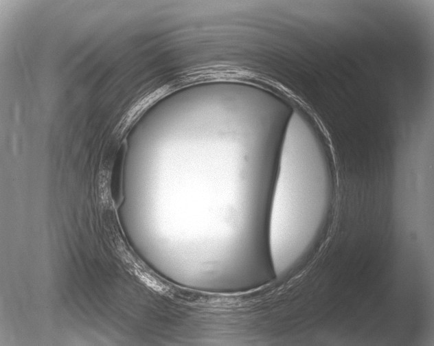 X0000086250889200703291032