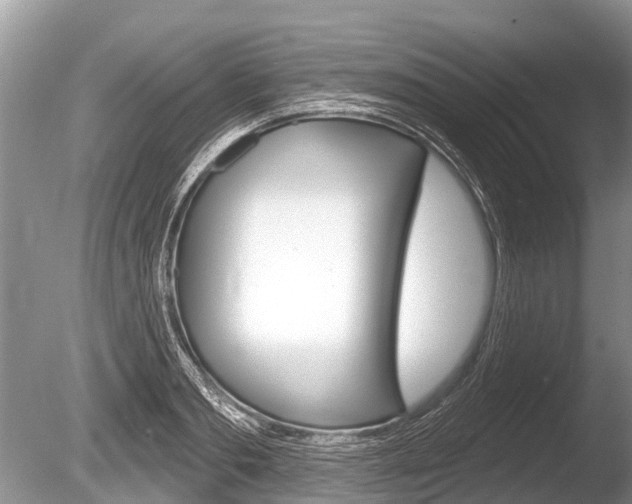 X0000086250893200703291032