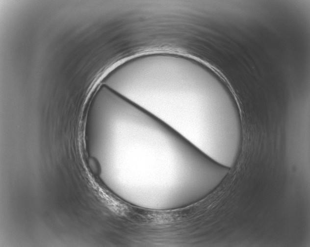 X0000086250895200703291032