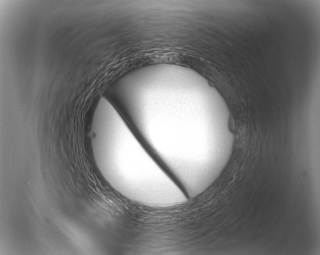 X0000086250913200703291031
