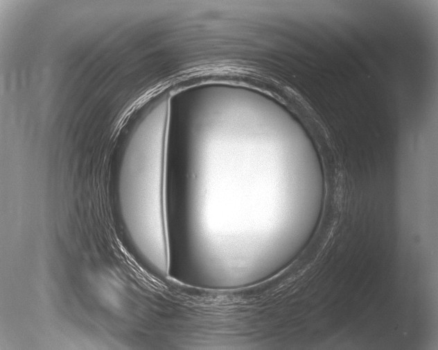 X0000086250922200703291031