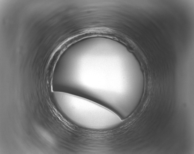 X0000086250923200703291031