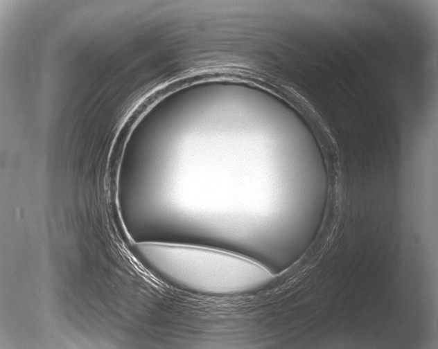 X0000086250924200703291031