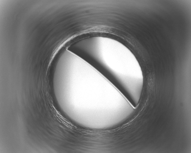 X0000086250926200703291031